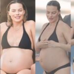 margot robbie pregnant